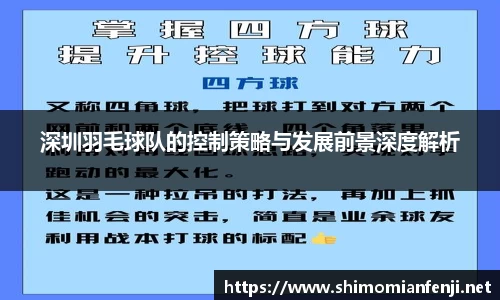 深圳羽毛球队的控制策略与发展前景深度解析